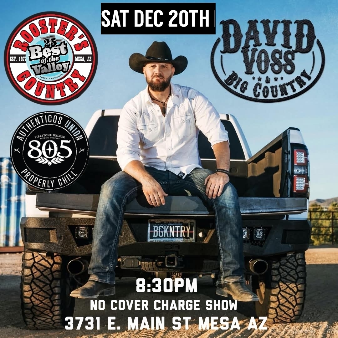 David Voss – Live at Roosters – No Cover